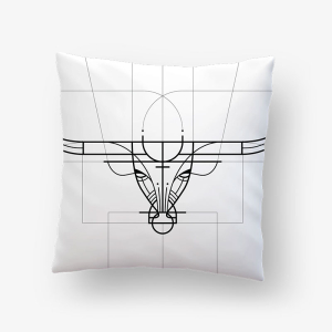 pillows (1)