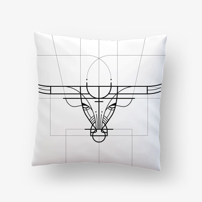 pillows (1)