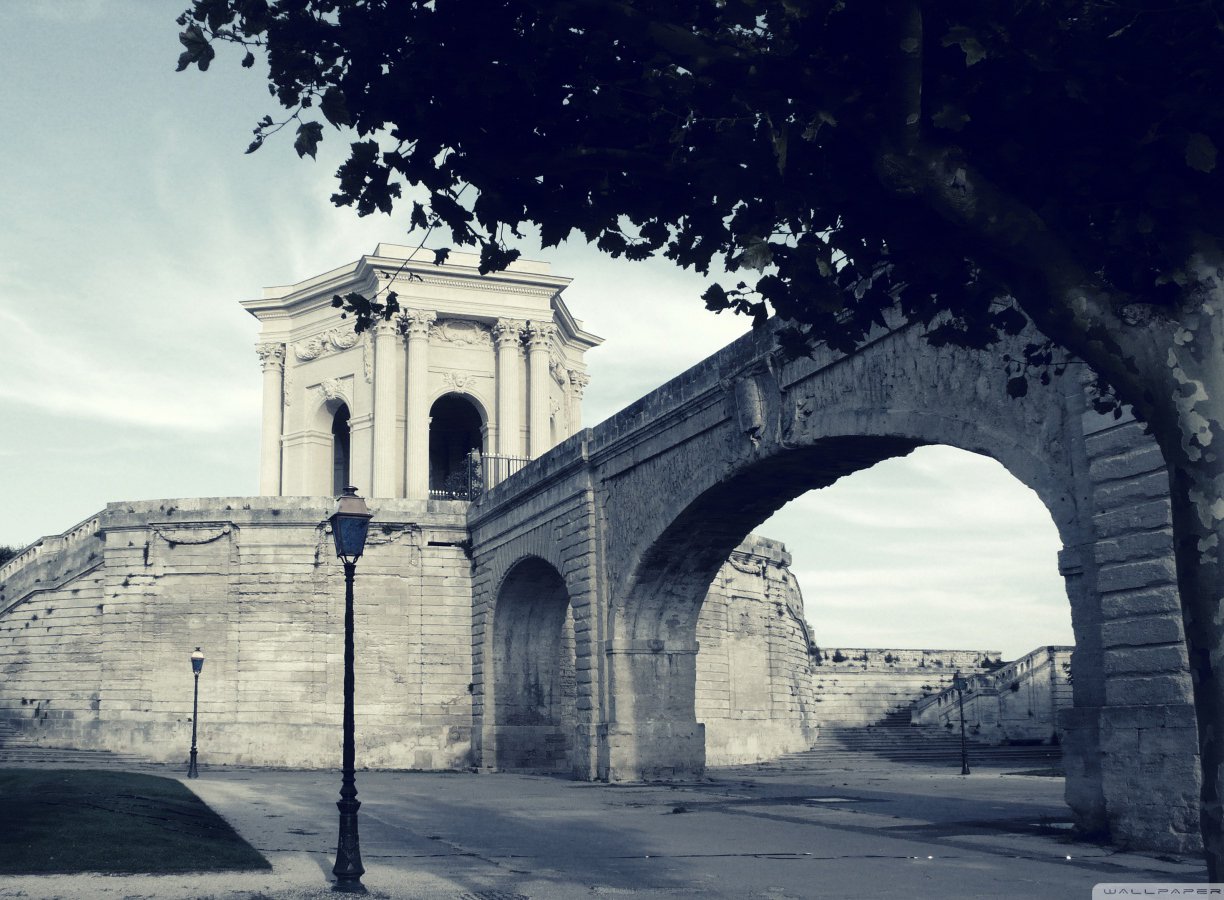 42d9b310022557a70bc86b6dec0d6a07