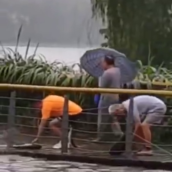 5309737f33064889b5bb09bce69df265的预览图