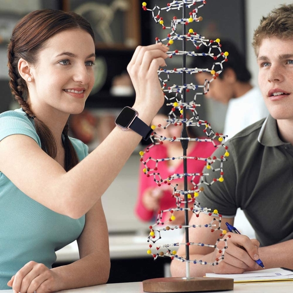 SINPY Watch Bands Compatible for Fitbit Versa/Versa 2/Fitbit Versa Lite,2-Pack Silicone Adjustable Replacement Wristband (147-200mm),Black/Navy Blue