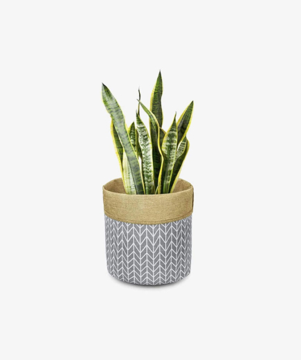accesseris-(3)