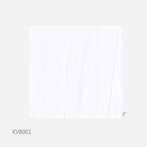 KV8001