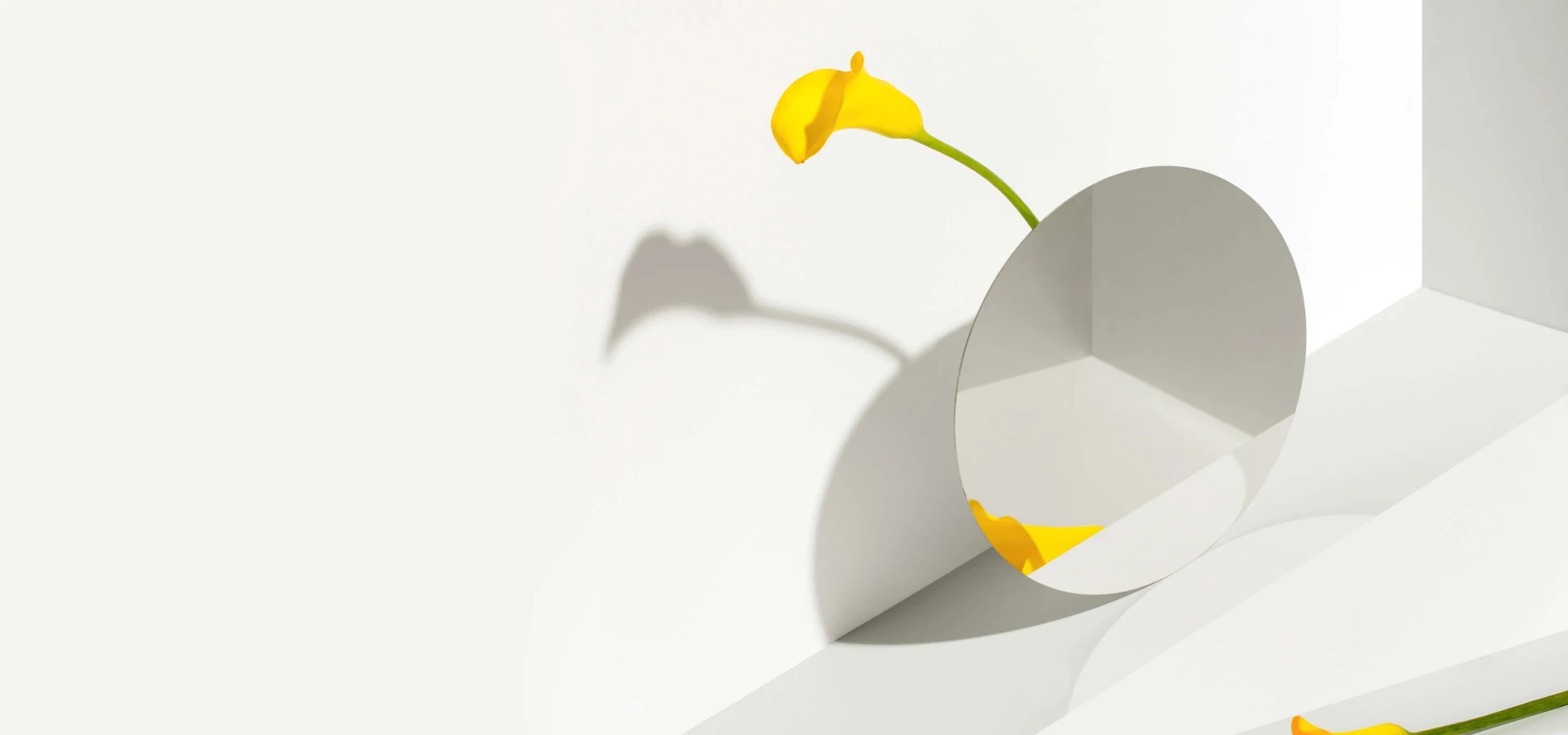 banner1