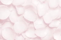 ee36196b46a60efcd041cb16214b2d9e